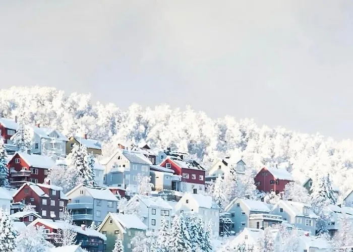 Modern, Spacious * Lii