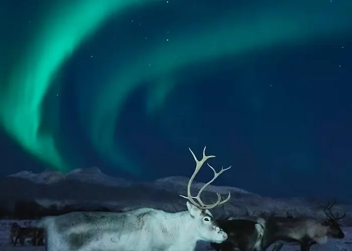 Modern, Spacious Lägenhet